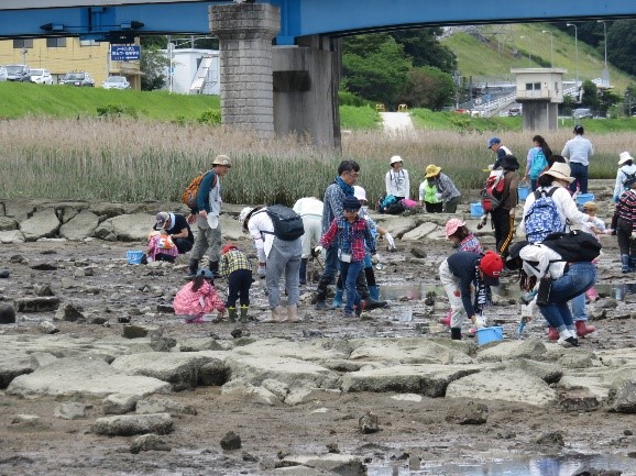 太田川放水路干潟の生き物観察会