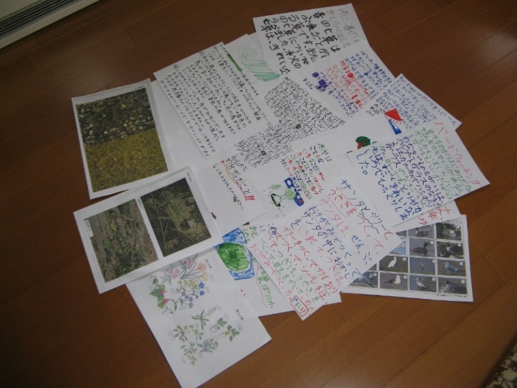 子供たちが書いた原稿 次回模造紙に張り付け、壁新聞を完成させる