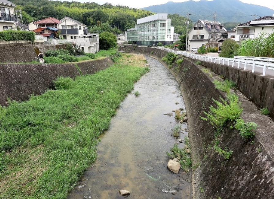 採集フィールド