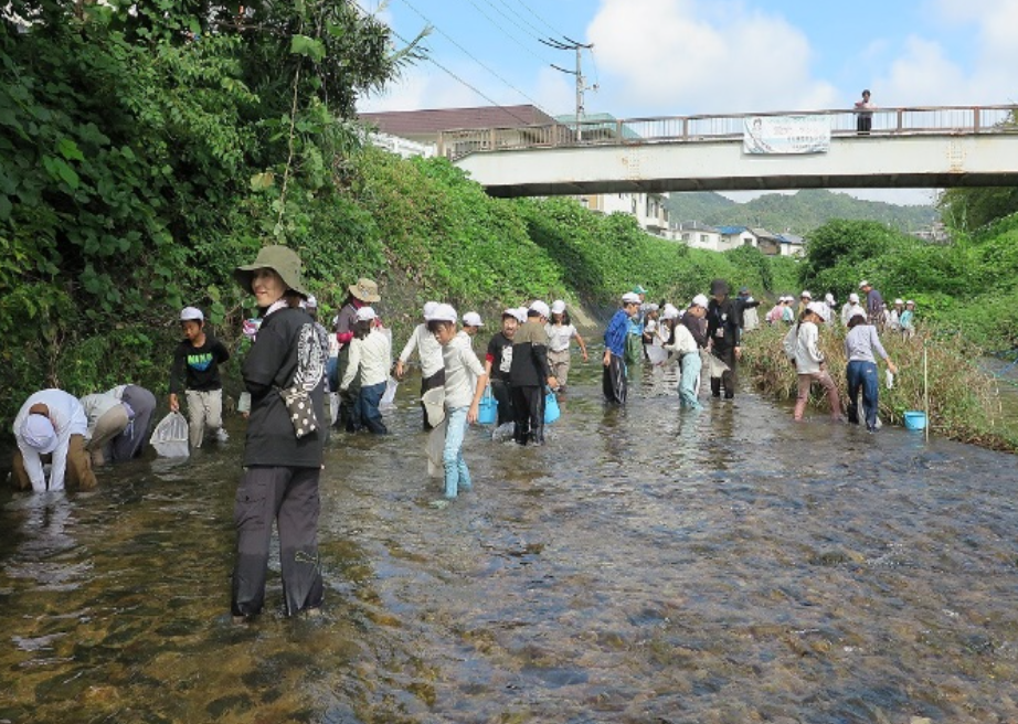 生物採集の様子