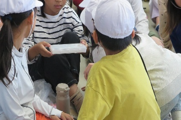 事前にサンプル(川で採れる生き物)説明